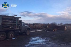 За крадіжку деревини —  до в’язниці